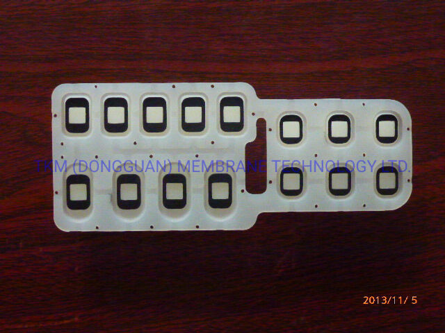 Silicone Rubber Epoxy 2